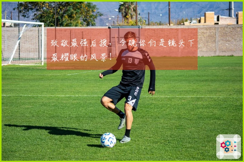 致敬最强后援，今晚你们是镜头下最耀眼的风景！